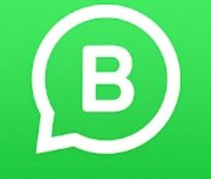 Fè plis kòb ak Whatsapp profesyonèl