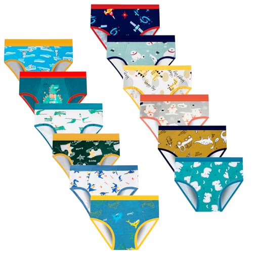 Toddler Underwear Boys, 12 Pack Briefs for Boys - 5-6 Years / Multicolor 352